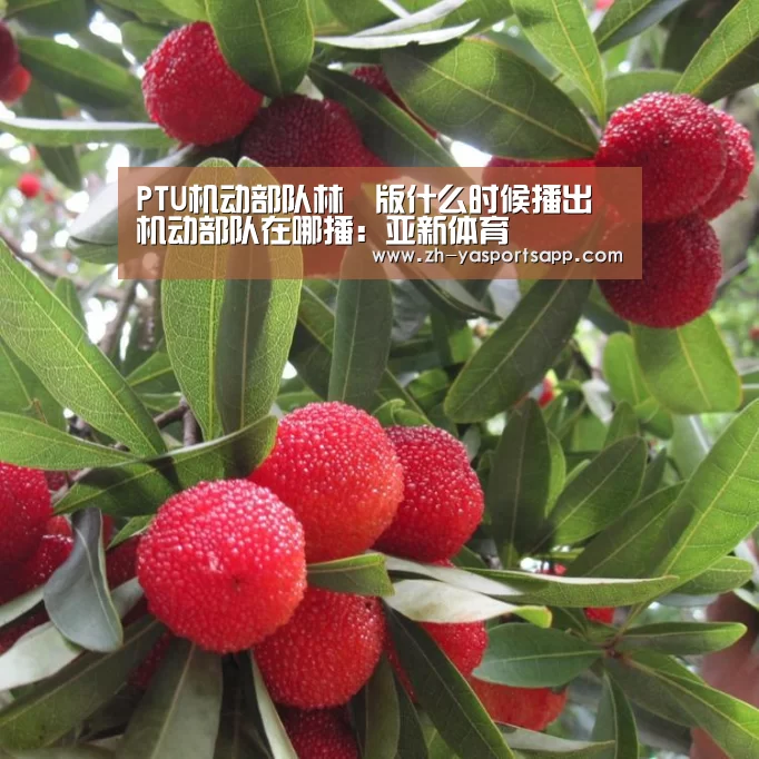PTU机动部队林峯版什么时候播出 机动部队在哪播:亚新体育(图2) 亚新体育
