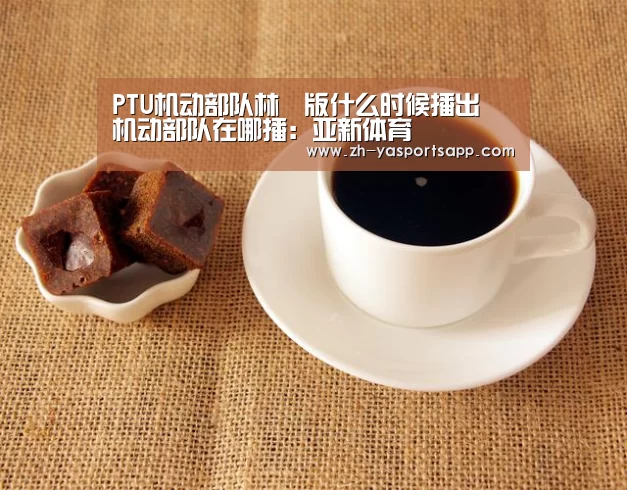 PTU机动部队林峯版什么时候播出 机动部队在哪播:亚新体育(图3) 亚新体育